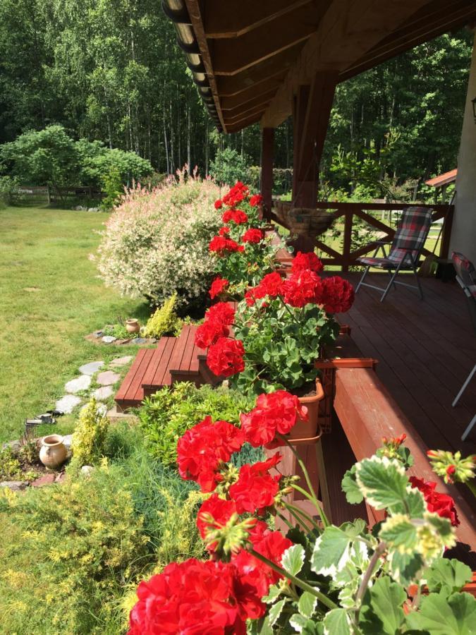 Dom W Sapach Holiday home Sapy