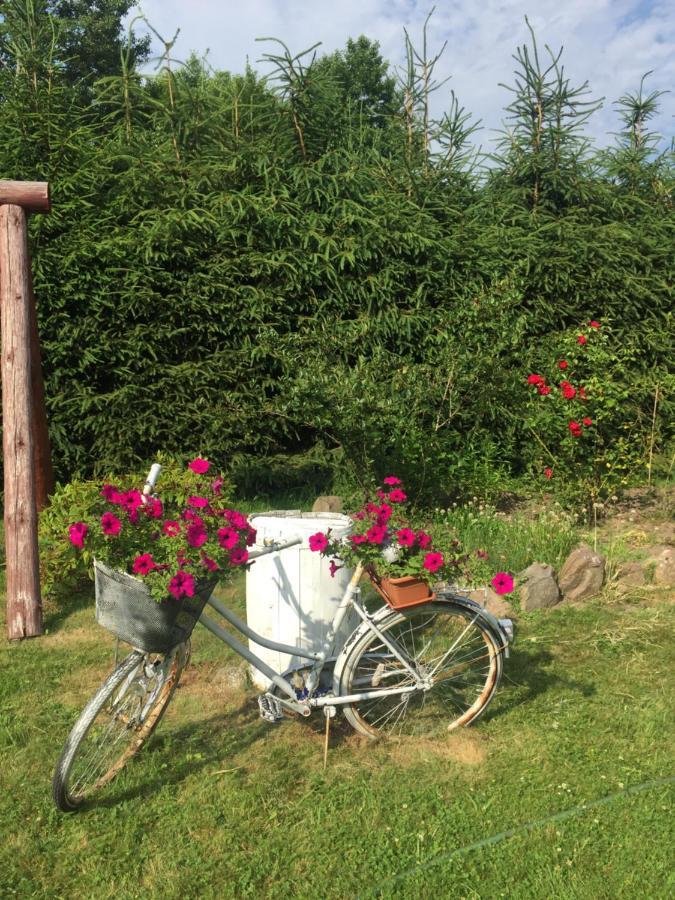 Dom W Sapach Holiday home *