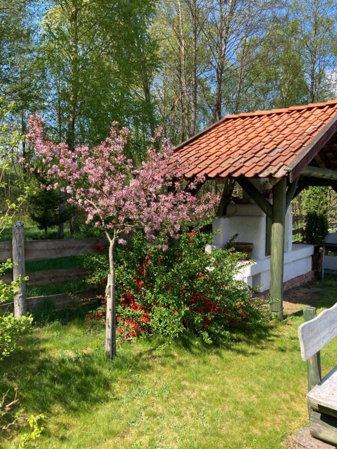Holiday home Dom W Sapach *